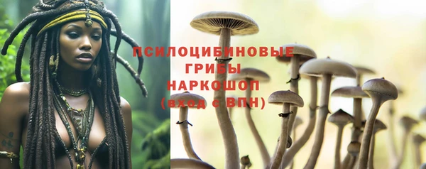 прущая мука Лагань
