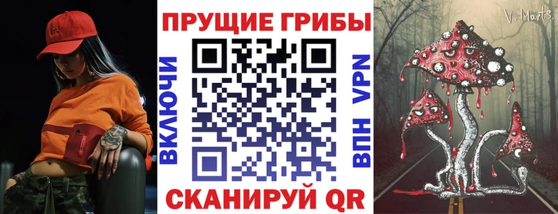 Псилоцибиновые грибы GOLDEN TEACHER  Фатеж 